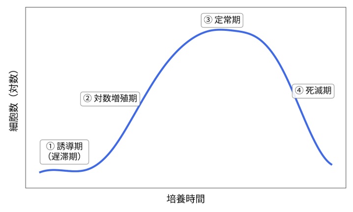 細胞増殖曲線の例