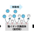 陰イオン交換クロマトグラフィー